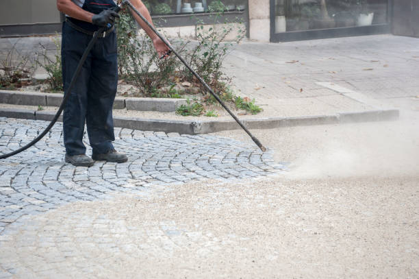 Best Soft Washing for Delicate Surfaces in Rio Vista, TX