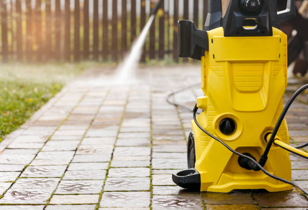 Best Roof Cleaning and Mildew Removal in Rio Vista, TX